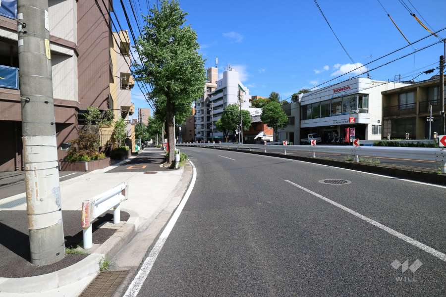 敷地南側の前面道路。片側二車線で交通量の多い通りです。