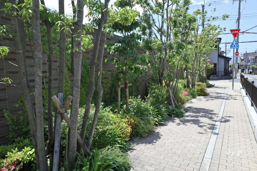 敷地の周囲に植栽スペースが設けられています。