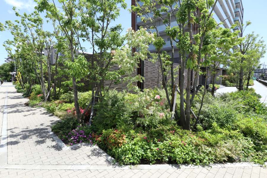 敷地周囲の植栽スペース