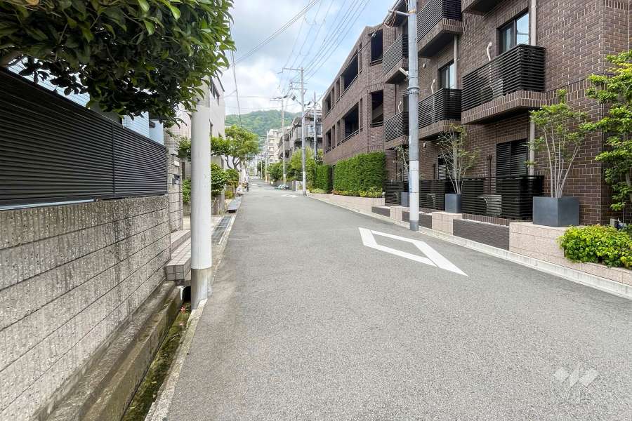 敷地西側の前面道路（南側から）