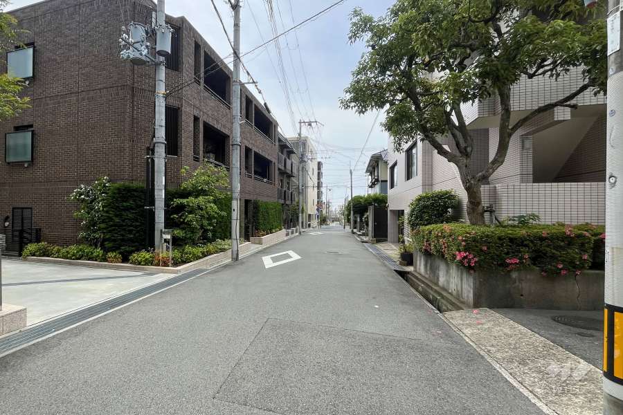 敷地西側の前面道路（北側から）