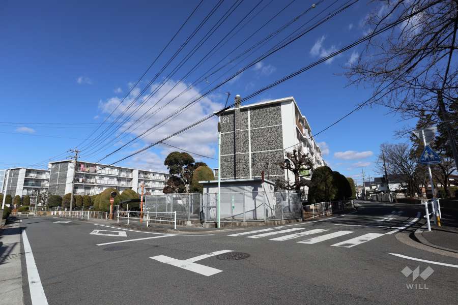 敷地南西側と北東側の前面道路（南側から）