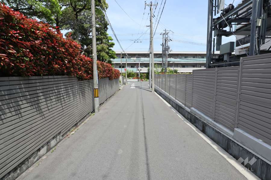 敷地北側の前面道路（西側から）