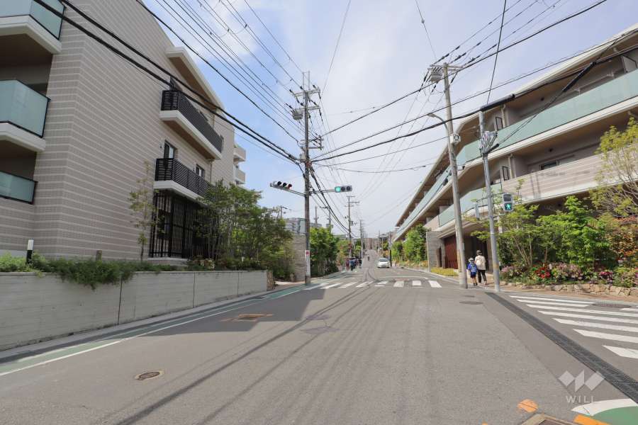 敷地東側の前面道路（南側から）
