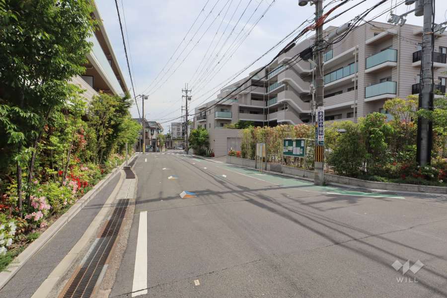 敷地東側の前面道路（北側から）
