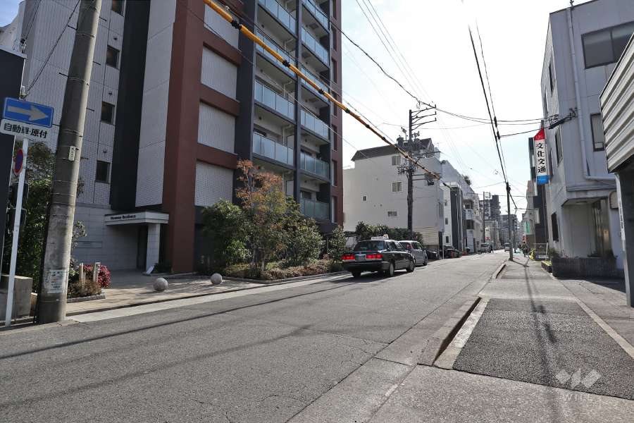 敷地西側の前面道路（北側から）
