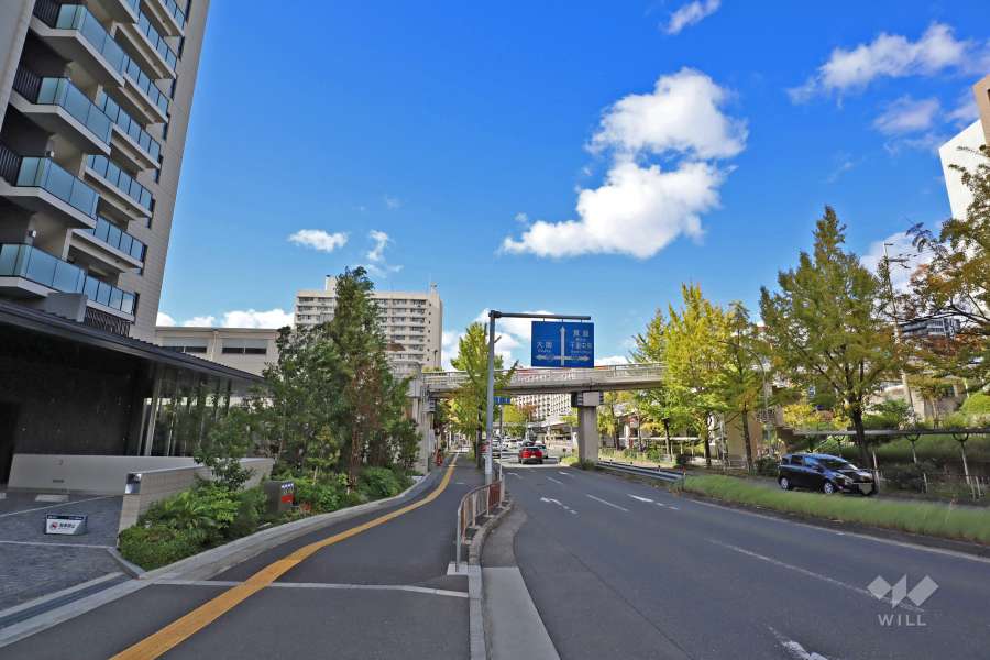 敷地北側の前面道路（東側から）