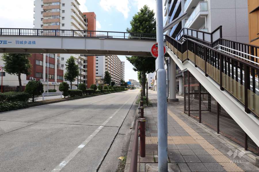 敷地の東側前面道路（県道225号名古屋東港線）