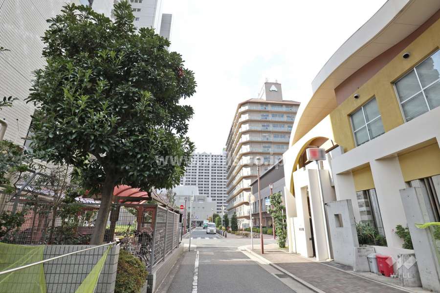 敷地南側の前面道路（東側から）