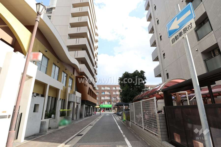 敷地南側の前面道路（西側から）