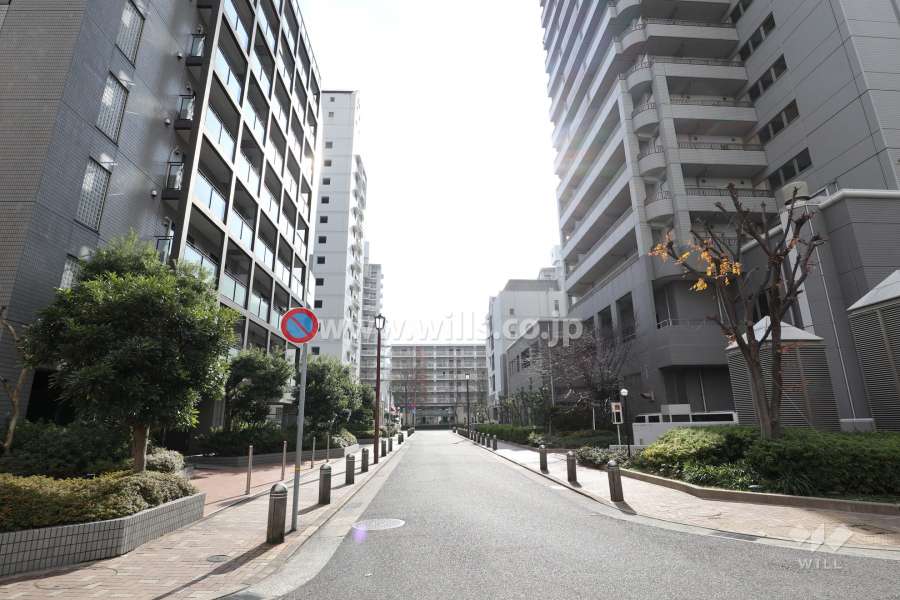 敷地西側の前面道路（北側から）