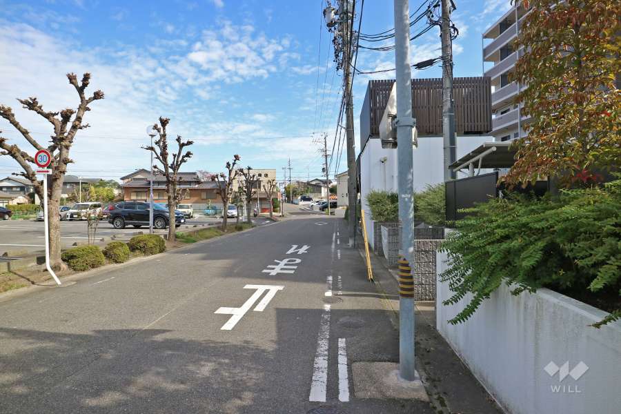 敷地北側の前面道路（西側から）