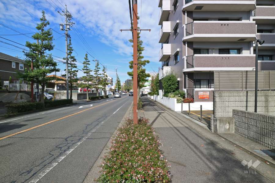 敷地西側の前面道路（南側から）