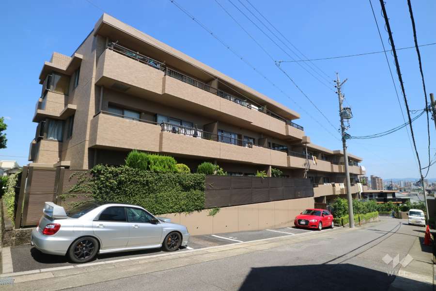 富士見台パークハイツ参番館の外観(南側から)