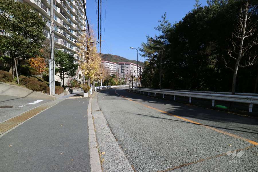敷地南側の前面道路