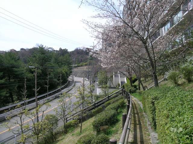 敷地南部分にある小道