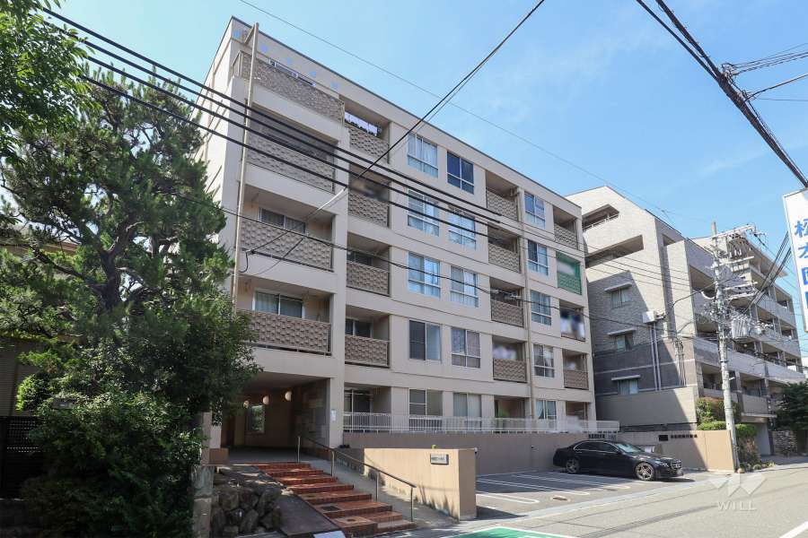 花屋敷コーポラスの外観（南西側から）