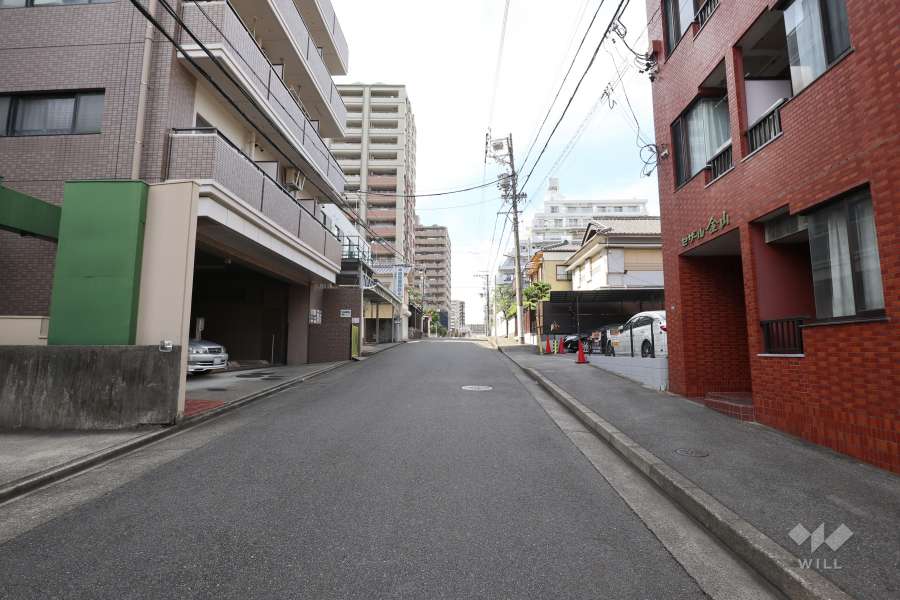 敷地西側の前面道路（南側から）