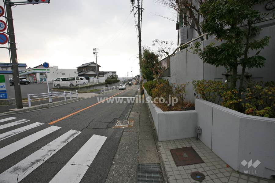 敷地東側の前面道路