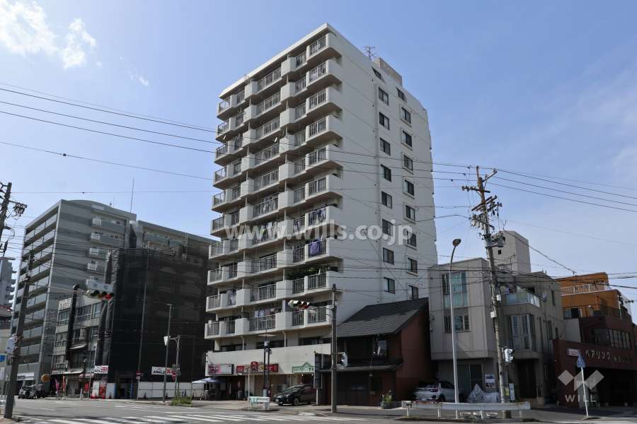 ホワイトキャッスル金山の外観（南東側から）