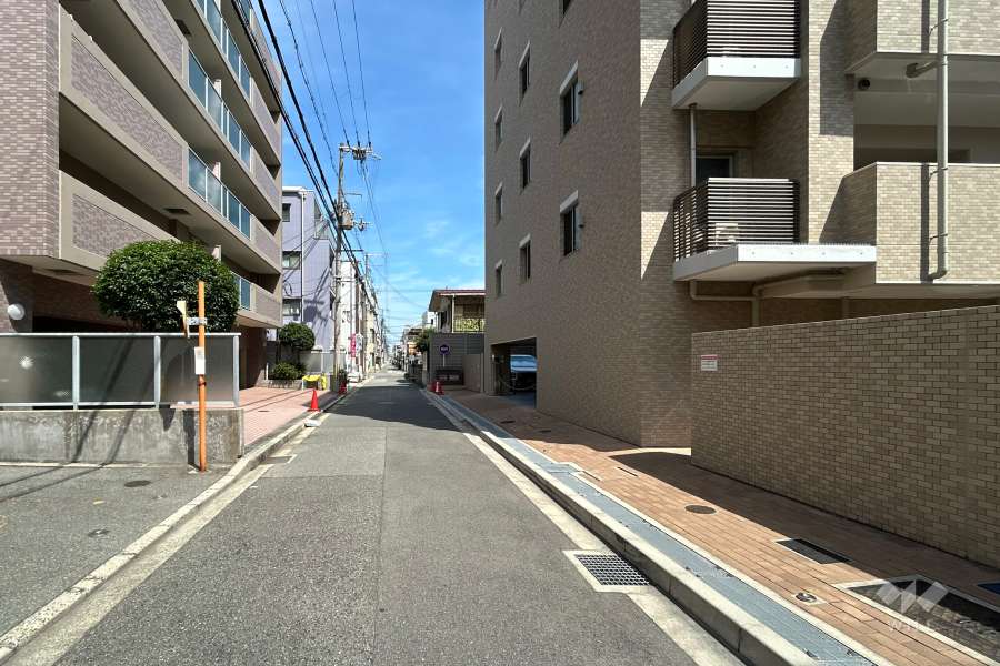 敷地北側の前面道路（西側から）