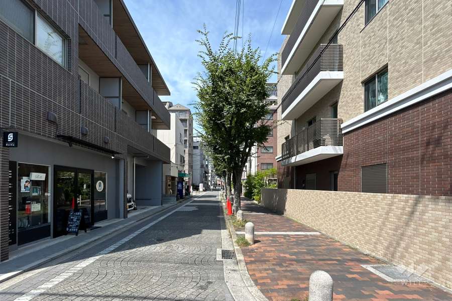 敷地西側の前面道路（南側から）