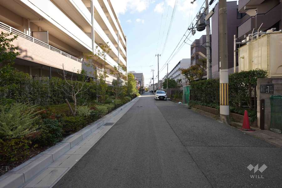 敷地南側の前面道路（西側から）