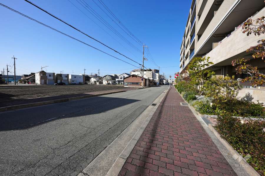 敷地南東側の前面道路（東側から）