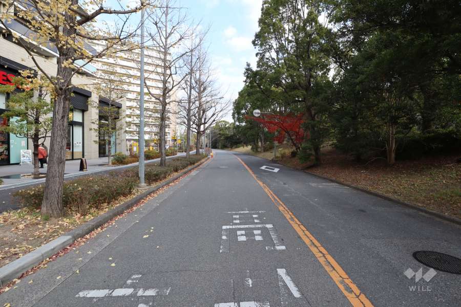 敷地東側の前面道路
