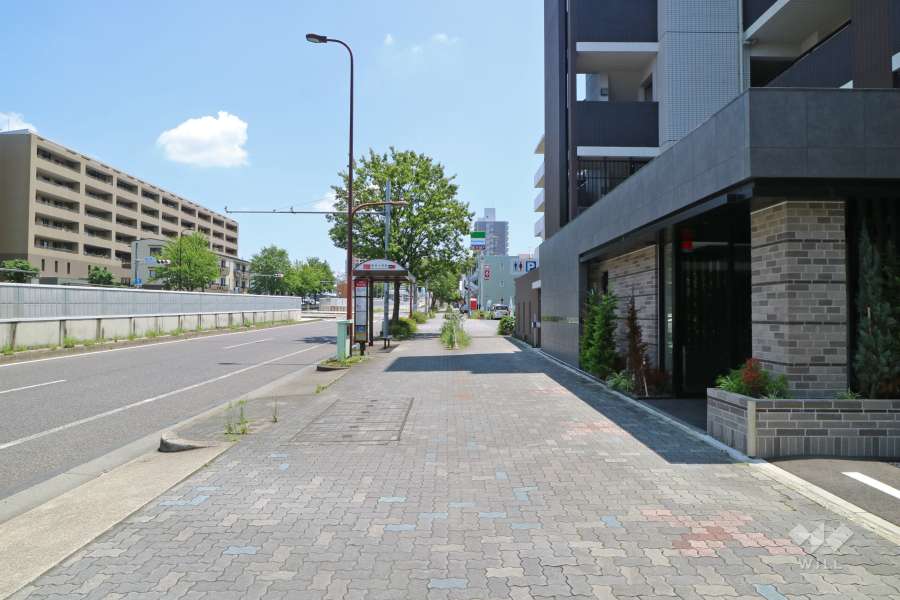 敷地北側の前面道路（西側から）