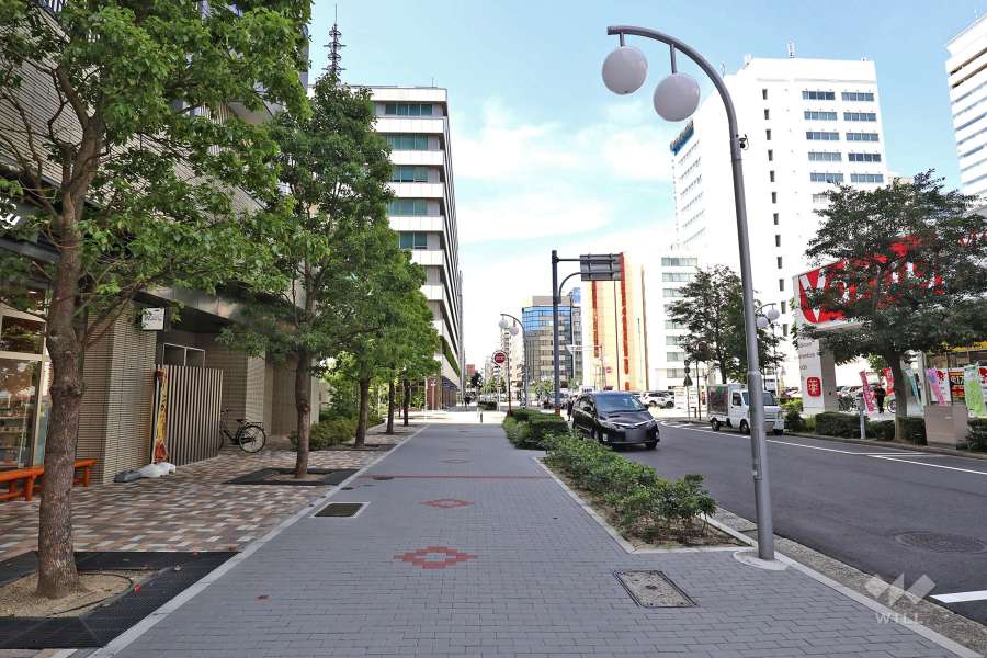 敷地東側の前面道路（南側から）