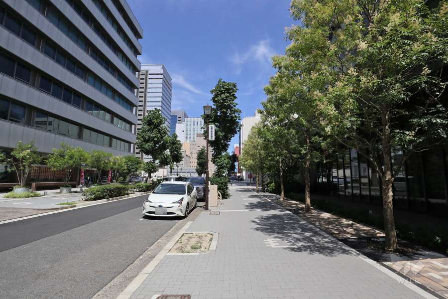 敷地北側の前面道路（西側から）