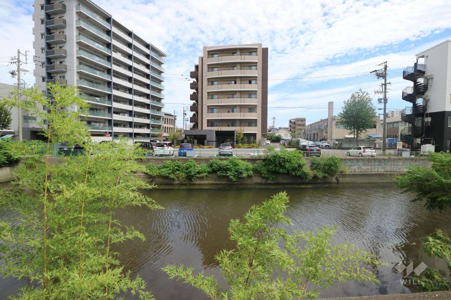 敷地西側を新堀川が流れています。（カルティア金山StationEastの遠景）
