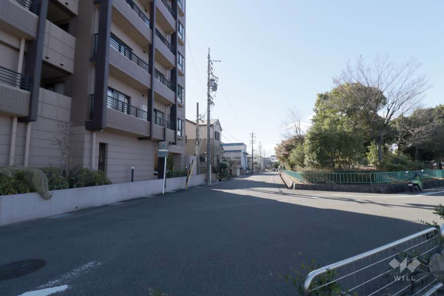敷地西側の前面道路（北側から）