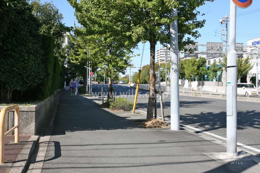 敷地北側の前面道路（東側から）