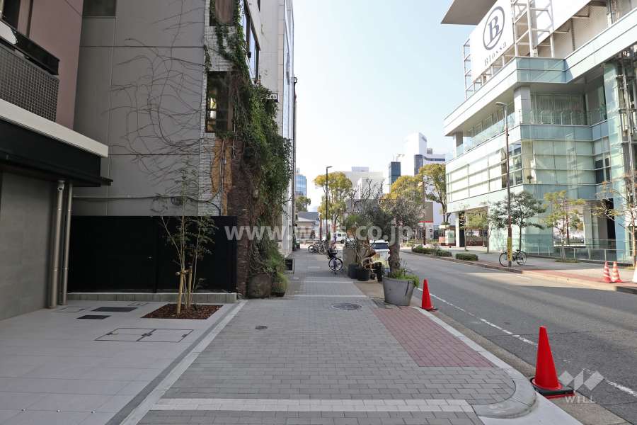 敷地北側の前面道路（東側から）