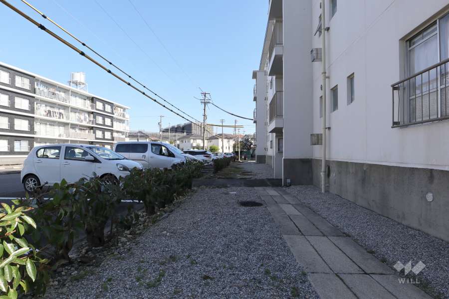 敷地内の通路