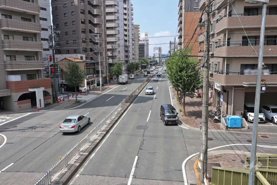 敷地北側の前面道路（歩道橋から）