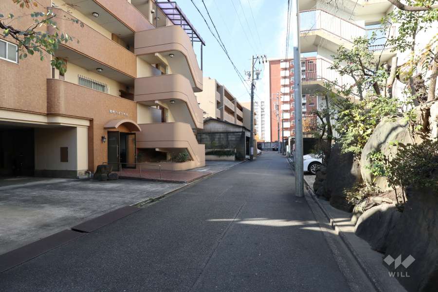 敷地北側の前面道路（東側から）
