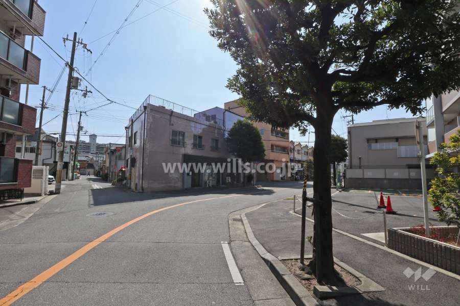 敷地南東側の前面道路(北側から)
