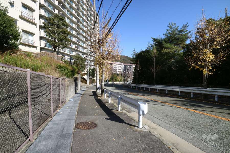 敷地南側の前面道路