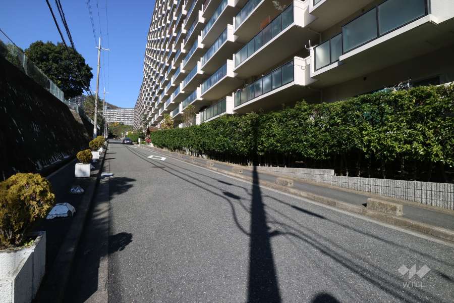 敷地西側の前面道路