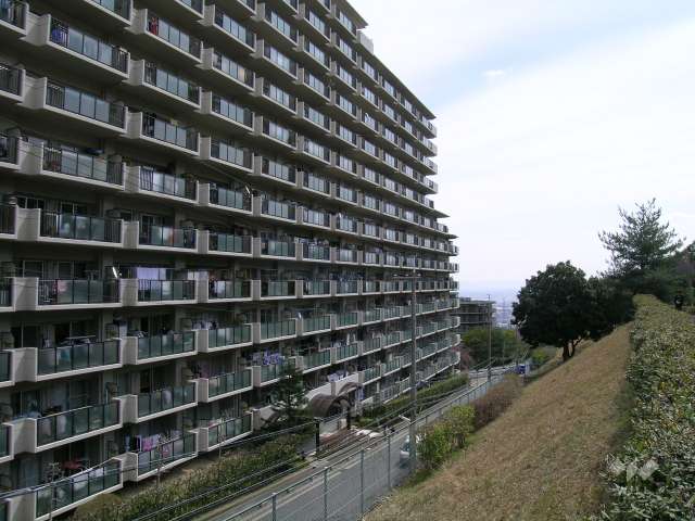 敷地西側には『中山中央公園』が広がっています。