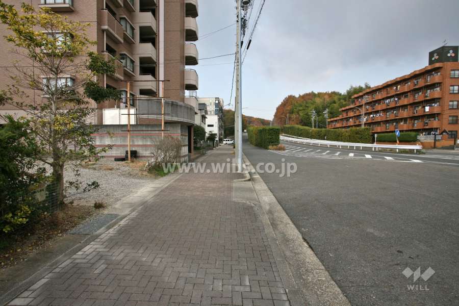 敷地北側の前面道路(東側から)