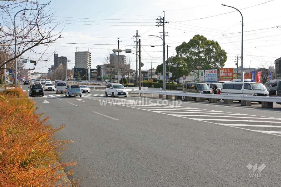 敷地北側の前面道路(西側から)