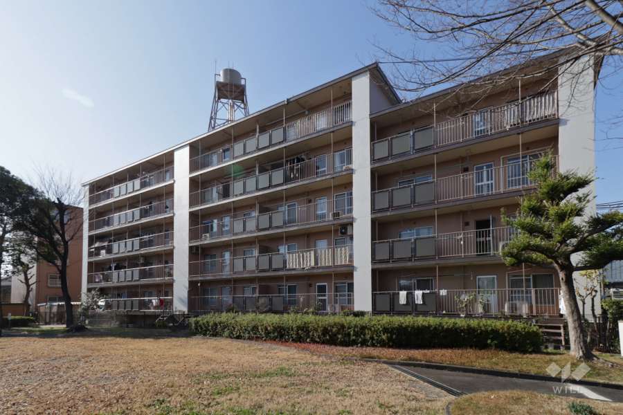 野立ハイツC棟の外観（東側から）