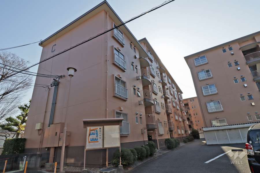 野立ハイツC棟の外観（北側から）