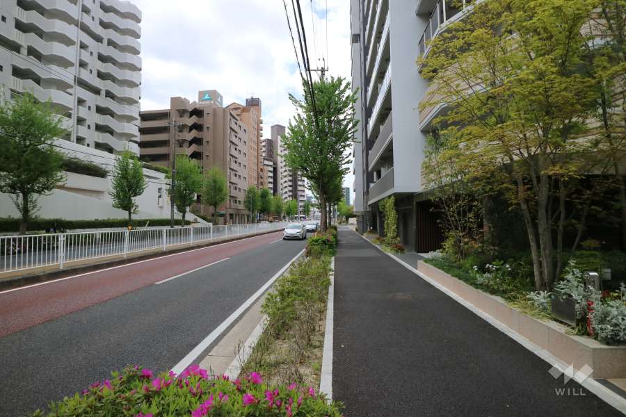 敷地南側の前面道路（東側から）