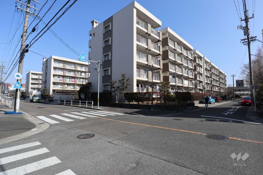 敷地北西側と南東側の前面道路（南西側から）