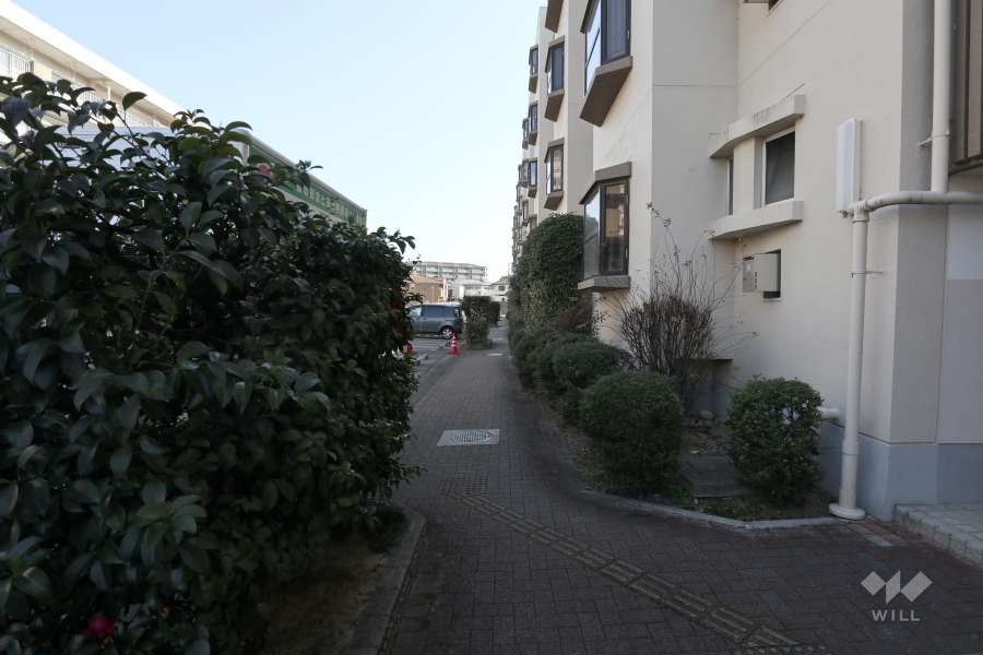 敷地内の通路